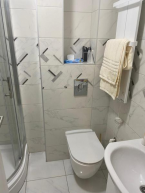 Apartmani Misica